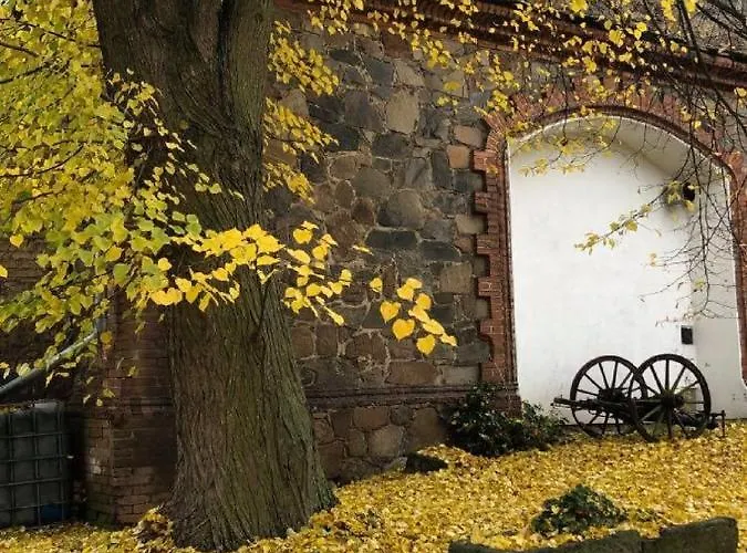 Schwarzenbersky Pansky Dvur بيت ضيافة Čimelitz